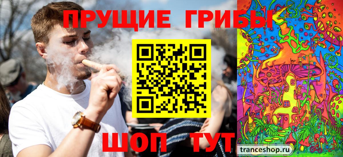 Шелехов  Псилоцибиновые грибы Cubensis  Вход с VPN 